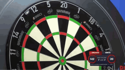 Winmau Dart Board Score 142