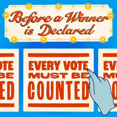 Winner Election Vote GIF