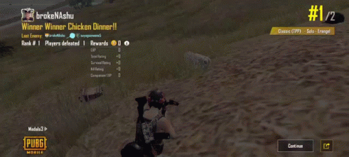Brokenashu Winner Winner Chicken Dinner In Pubg GIF