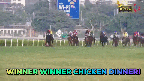 Winner Winner Chicken Dinner In Horse Racing GIF