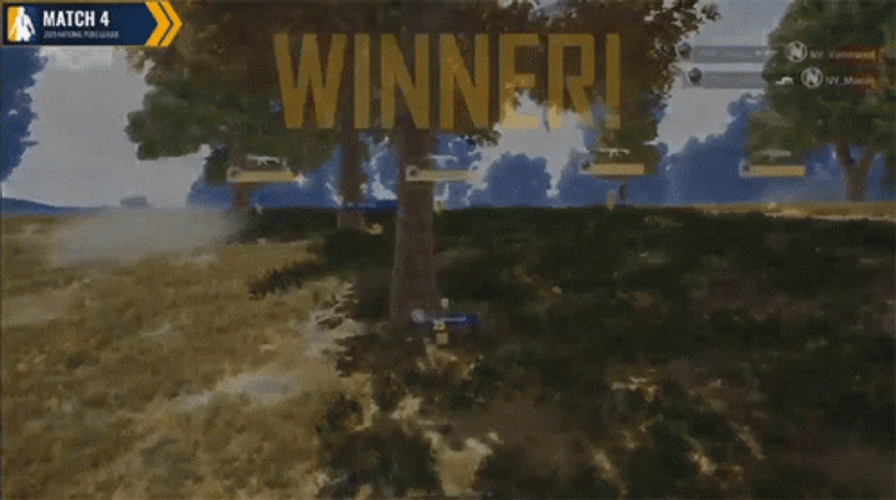 Winner Winner Chicken Dinner In Pubg Game GIF