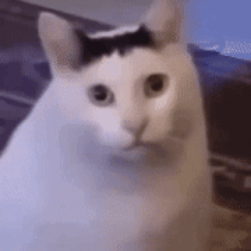Winnie The Pooh Dancing Get Your Pooh On GIF