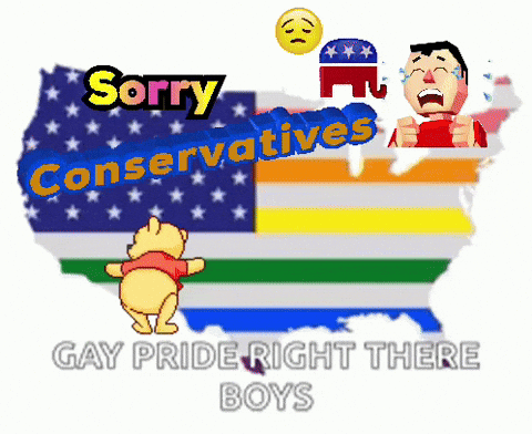 Winnie the Pooh in Front of American Flag Saying Sorry Conservatives