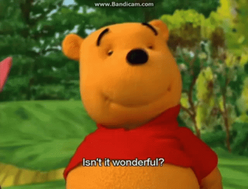 Winnie The Pooh Isn't It Wonderful GIF