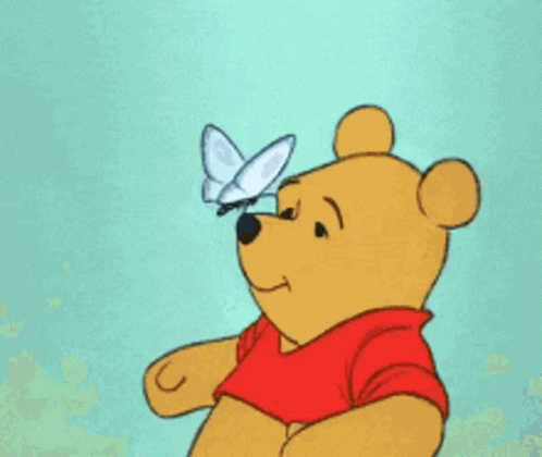 Winnie the Pooh Looking at Butterfly