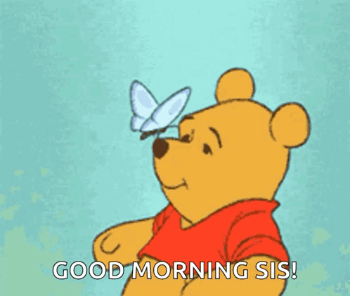 Winnie the Pooh Looking at Butterfly Good Morning Sis