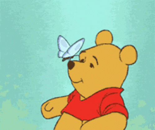 Winnie the Pooh Looking at Butterfly