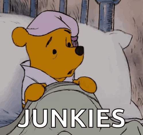 Winnie the Pooh Lying on Bed Junkies
