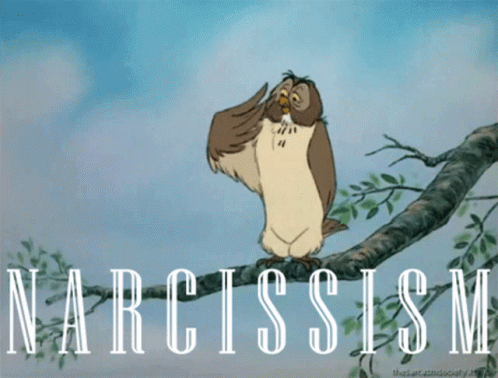 Winnie The Pooh Owl Narcissist Meme GIF