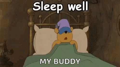 Winnie The Pooh Says Sleep Well Buddy GIF
