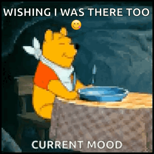 Winnie the Pooh Wishing I Was There Too