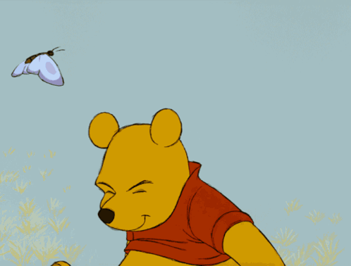Winnie the Pooh With Blue Butterfly on Nose