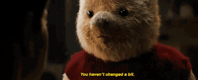 Winnie The Pooh You Havent Changed A Bit Gif GIF
