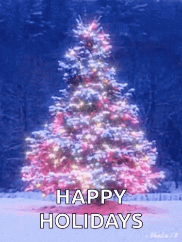 Winter Break Christmas Tree Lighting Up Spinning GIF