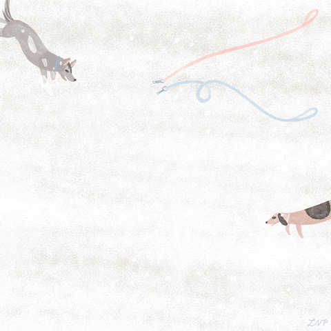 Winter Dogs Play Animated GIF