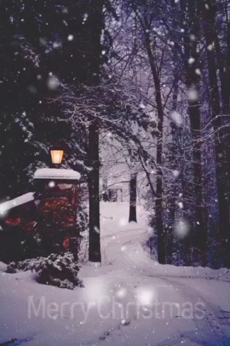 Winter Feels Snow Falling GIF