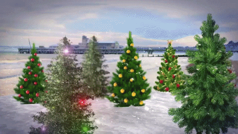 Winter Solstice Christmas Tree Bournemouth University GIF