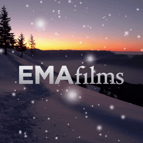Winter Solstice Snow Ema Films GIF