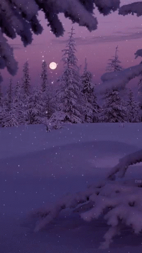 Winter Solstice Snowy Starry Night GIF
