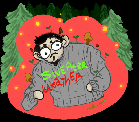 Winter Solstice Tis The Season Christmas GIF