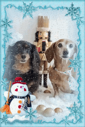 Winter Wednesday Snowy Snow Dogs GIF