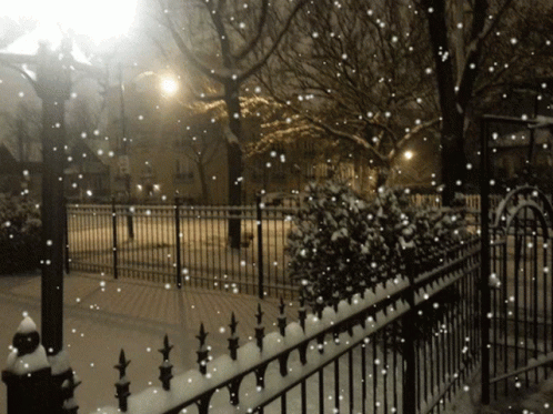 Winter Wednesday Snowy Street View GIF