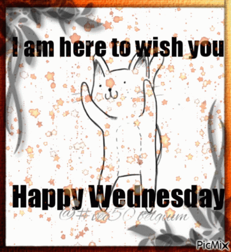 Winter Wednesday Wish You're Here GIF