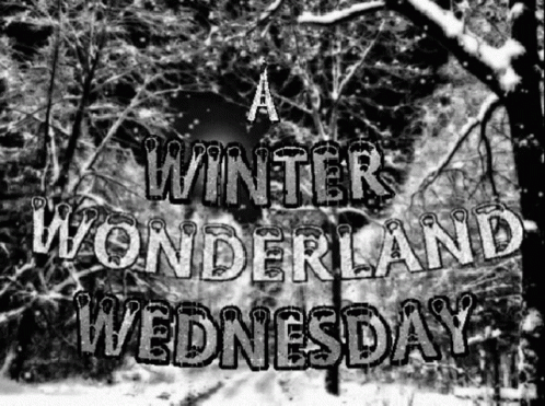 Winter Wonderful Wednesday GIF