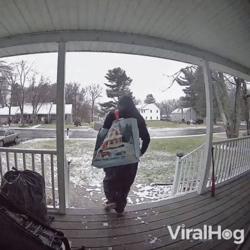 Wioman Slipped At Porch GIF