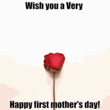 Wish You A Very Happy First Mothers Day GIF