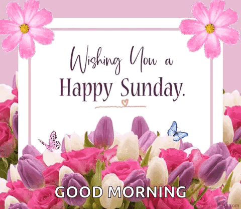 Wishing You a Happy Sunday Card With Flowers and Butterflies