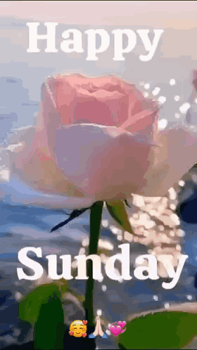 Wishing You a Wonderful Sunday