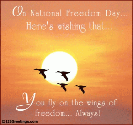 Wishing You Fly on Wings of Freedom