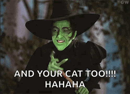 Witch And Your Cat Too GIF