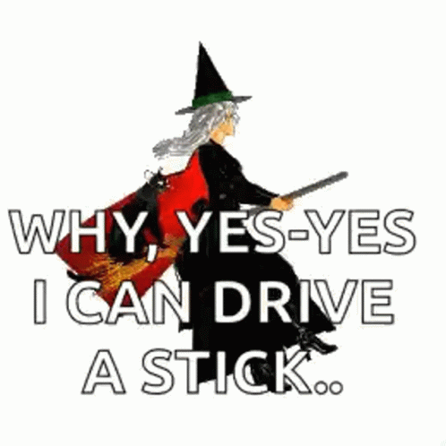 Witch Can Drive Broom Stick GIF