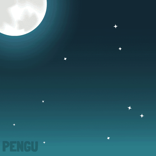 Witch Hat Penguin Flying on Broom at Night