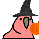 Witch Holding Squash Colorful Party Parrot GIF