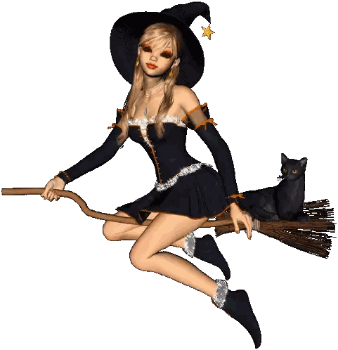 Witch Sitting on Broom with Black Cat