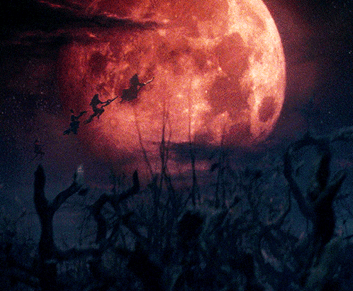 Witches Flying In Front Of Full Moon In Dark Forest GIF
