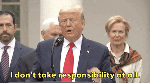With Great Power Comes Great Responsibility Donald Trump GIF