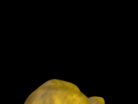 Withered Bonnie Golden Freddy GIF