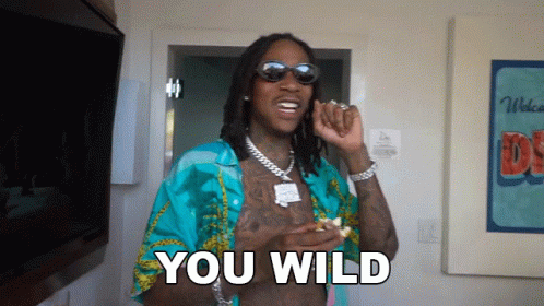 Wiz Khalifa You Wild GIF