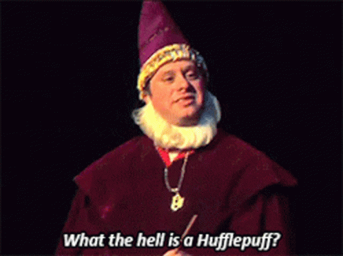 Wizard Asking What The Hell Is A Hufflepuff