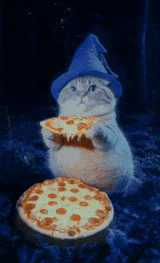 Wizard Cat Meme Gif GIF