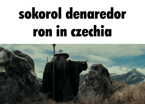 Wizard In Field Sokorol Denaredor Ron GIF