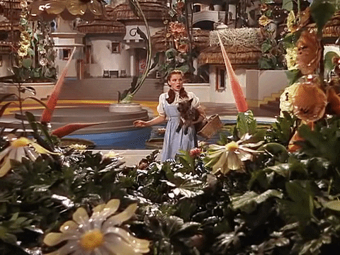 Wizard Of Oz Bewildered Dorothy Clueless GIF