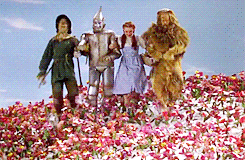 Wizard Of Oz Characters Walking On Leaves GIF