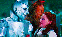 Wizard Of Oz Dorothy Cheek Kiss On Tinman GIF
