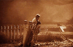 Wizard Of Oz Dorothy Fighting Off Storm GIF