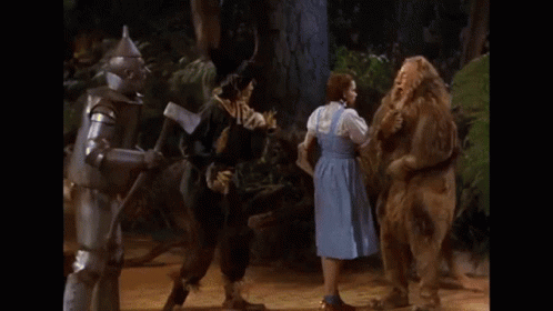 Wizard Of Oz Dorothy Meets The Lion GIF